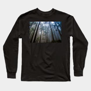 Tall Misty Forest Long Sleeve T-Shirt